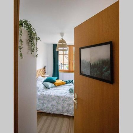 Charming Apartment Basel Border - 3 Bedrooms Hegenheim Εξωτερικό φωτογραφία