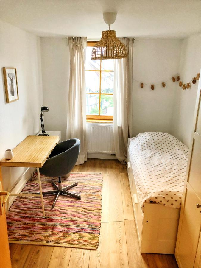 Charming Apartment Basel Border - 3 Bedrooms Hegenheim Εξωτερικό φωτογραφία